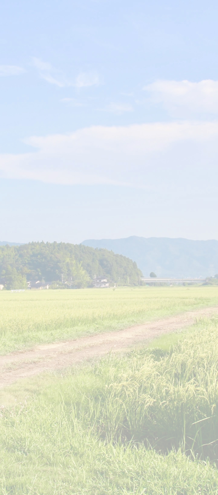 石川県七尾市高階地区