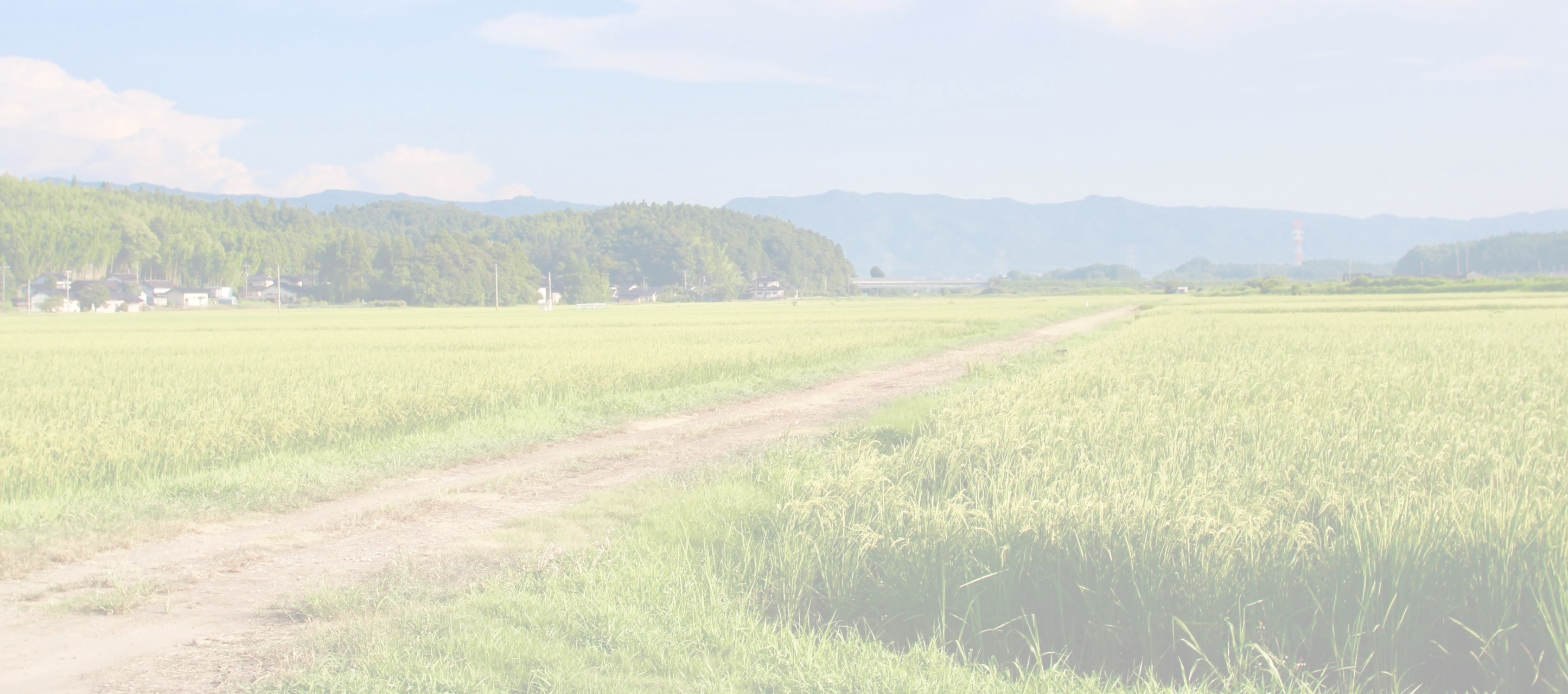 石川県七尾市高階地区